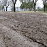 La calle en un preocupante estado, hace unas horas.