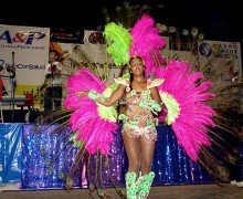 Mangueira_2012-1