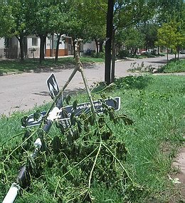El temporal obligó a muchos trabajos.