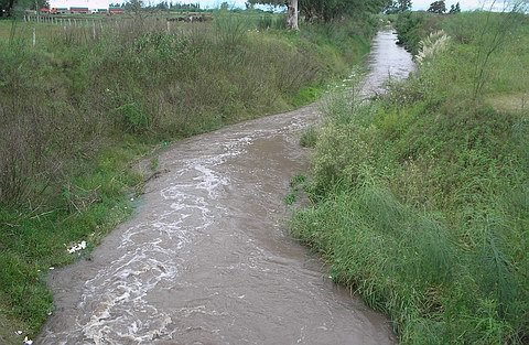 El canal Norte, en la parte del trazado que divide el corralón municipal del predio de la cooperativa ganadera. Así lucía hoy a media tarde.