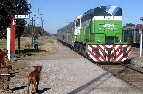 El tren aproximándose a la estación. La postal no podía estar completa sin el perro y el niño aguardando (Elvio Saravia).