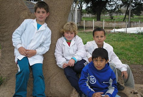 Maxi, Jonatan, Pablo, Alexis y Eros.