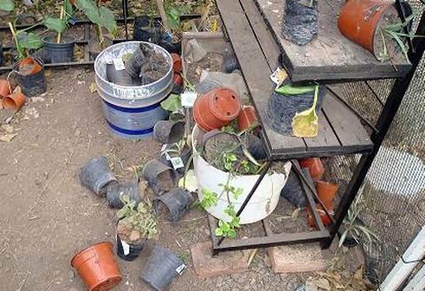 Contundente. Los destrozos van más allá de lo meramente material (Foto: Gentileza escuela Nº 1213).