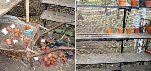 Más imágenes de lo encontrado tras las vacaciones invernales (Foto: Gentileza escuela Nº 1213).
