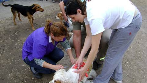 La participación de la comunidad viene siendo numerosa (Foto: Prensa Municipalidad).
