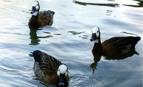 Lafoto ganadora (Gentileza Arte más Arte).