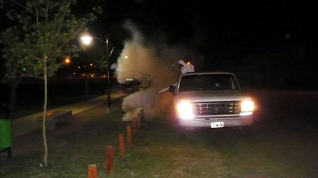 Las labores se extendieron en la madrugada (Foto: Prensa municipalidad).