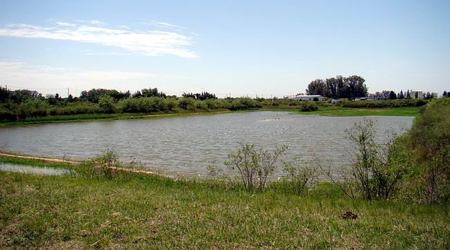 El dinero dará tranquilidad por algunos años en cuanto a prestación de servicio.