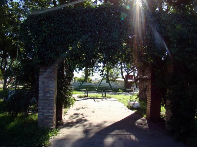 La plaza de la cooperación, con los pinos al fondo...