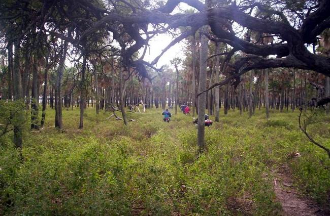 Las motos, perdiéndose en la vegetación del parque (Foto: Raúl Avila).