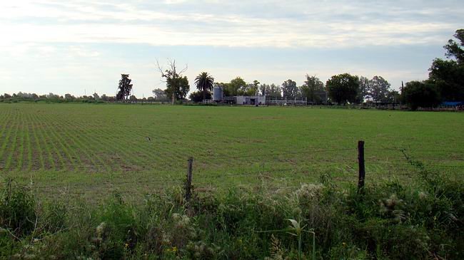 Los terrenos para industrias escasean, ahora hay que combinar también los resguardos a las viviendas circundantes.