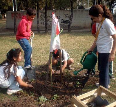 Los chicos, plantando un árbol.
