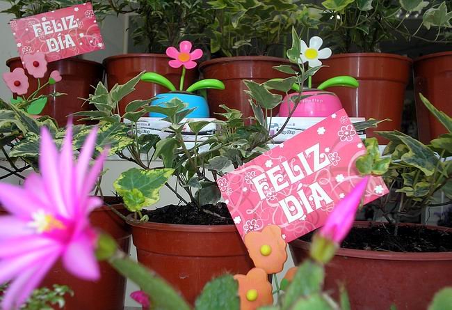 Saludar a mamá con un obsequio de Natural, una opción siempre vigente. Saludar a mamá con un obsequio de Natural, una opción siempre vigente.