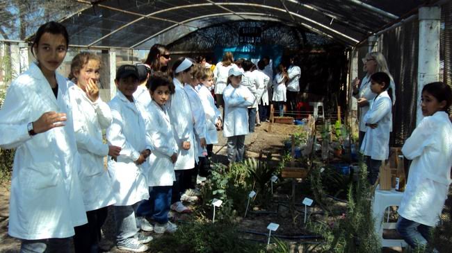 Alumnos recorriendo el espacio de La Calicata (Foto: Prensa escuela).