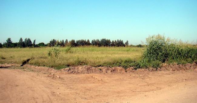 Loteo5has_650 Los terrenos, ya cuentan con más mejoras de infraestructura (Archivo).