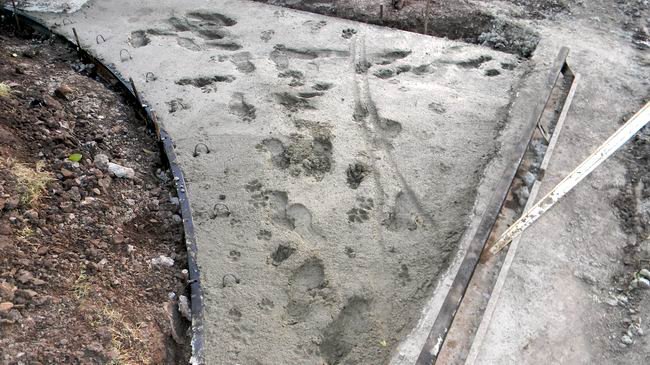 Así quedaron sectores de los nuevos avances, plagados de huellas y debiendo ser reparados antes de culminar (Foto: Prensa Municipalidad).