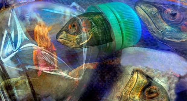 Pescado-tiene-plastico-en-estomago
