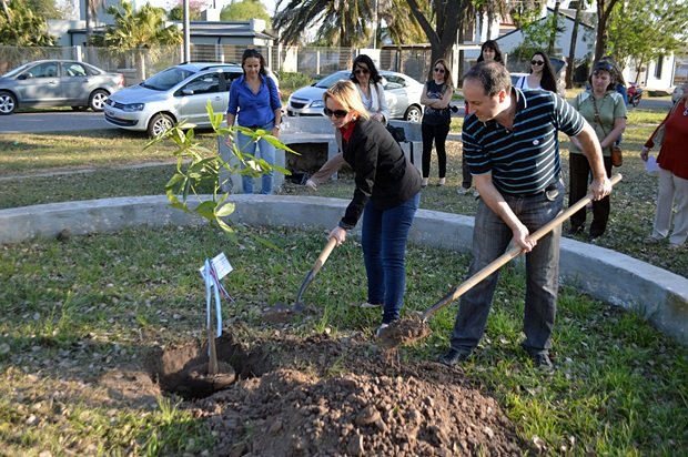 Un momento del plantado del árbol (Foto: Gentileza Centro Friulano).