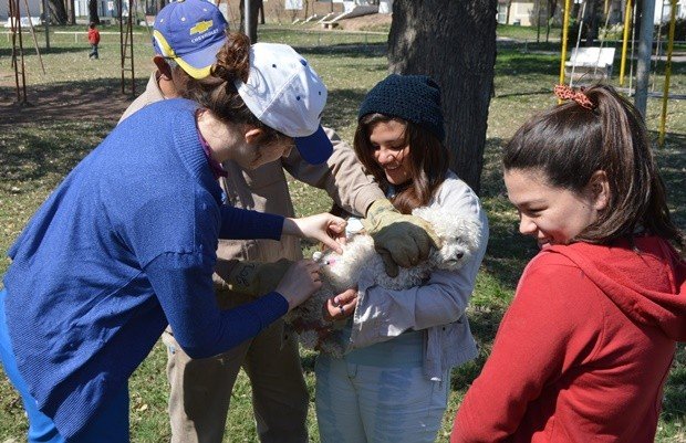 Antirrabica Cooperativo 01