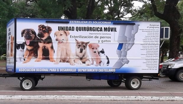Mascotas